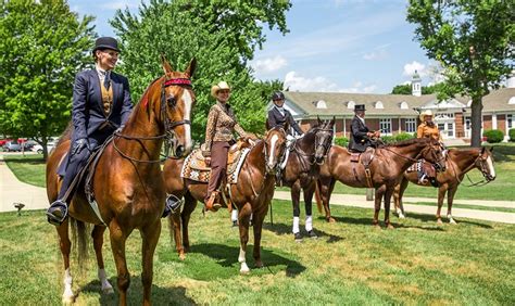 15 Best Equestrian Colleges & Universities in the US - Horsey Hooves