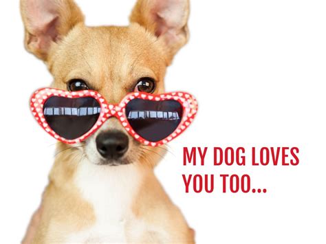 A funny Valentine's Day card template with a picture of a dog and a witty message for ...