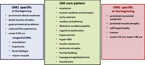 Myotonic Dystrophy Type 2: An Update on Clinical Aspects, Genetic and Pathomolecular Mechanism ...