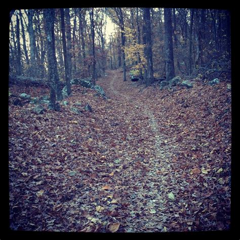 Bench trail. Mt. Nebo, Arkansas. Mountain biking. | Nebo, Oh the places youll go, Favorite places