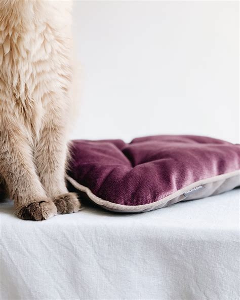 Cat window sill cushion, modern washable cat bed, purple velvet cat mat, gift for cat owners ...