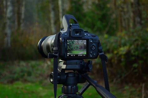 Best Tripods for Wildlife Photography (Top 6 Options) - Wildlife Informer