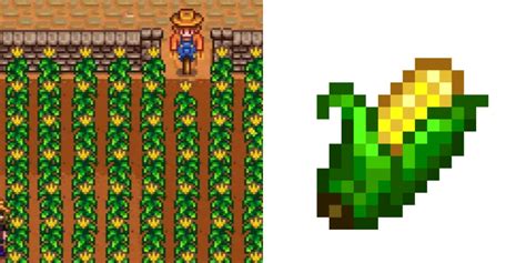 Stardew Valley: The Best Summer Crops