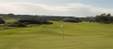 harpuna Domácí mazlíčci Mandl eden golf course st andrews žehlička moje maličkost hrdinka