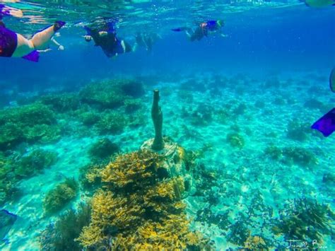 13 Best Cancun Snorkeling Tours That You Don't Want to Miss