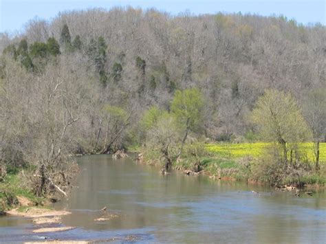 Iron City, TN : pic taken from bridge over Shoal Creek in Iron City photo, picture, image ...