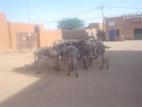 Agadez - Alchetron, The Free Social Encyclopedia