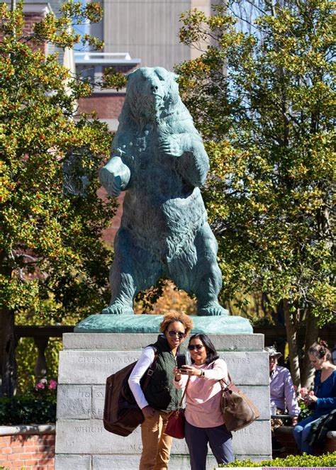 Photos: The legacy of Brown’s mascot lives on in campus bear statues | Brown University