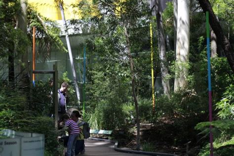 Site Overlay / Acoustic Survey - Melbourne Museum(forest gallery) 30 November 2013 - Geoff Robinson