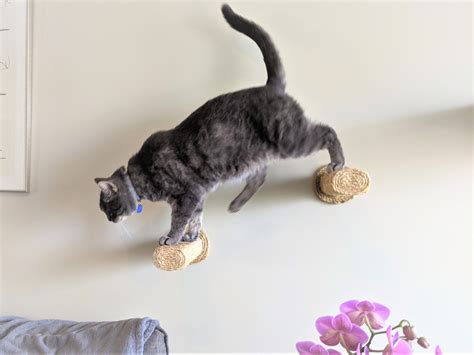 Cat Stairs / Wall-mounted Cat Steps/ Cat Furniture / Cat - Etsy