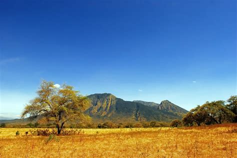 Baluran National Park ~ sewa mobil banyuwangi