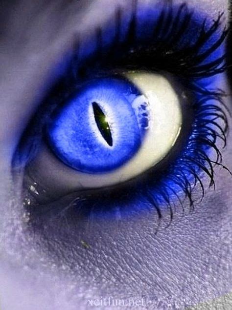 25 Cool contacts ideas | cool contacts, cool eyes, eye art