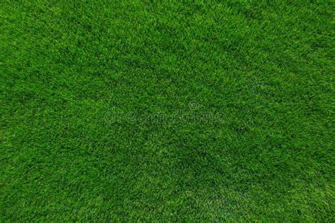 Green Grass Background Texture Stock Photo - Image of landscape, clean: 48645436