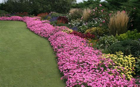 Selecting plants for a winter garden | The Sunday Mail