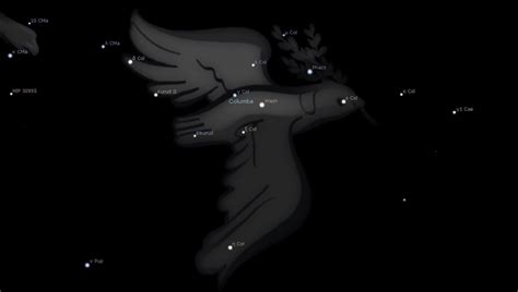 Columba Constellation Meaning – Astrology King