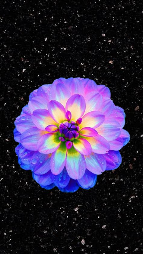 Pretty Bright Flower, background, black, galaxy, glowing, neon, space ...