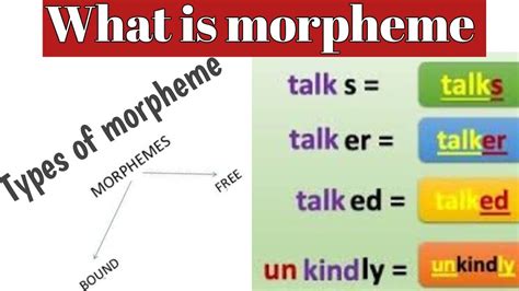 Morpheme definition with examples || Types of morpheme || free morpheme || bound morpheme - YouTube