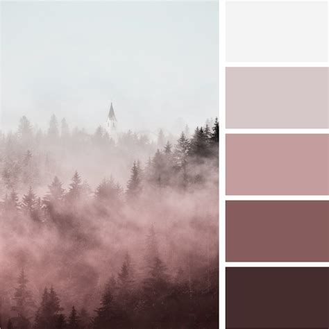 Dusty pink rose monochromatic color palette in 2021 | Color palette ...