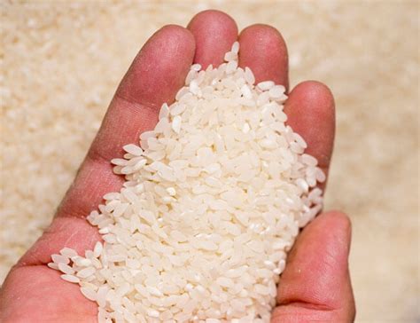 Classification of Commercial Rice Milling Machines | Rice Milling Machine Manufacturer