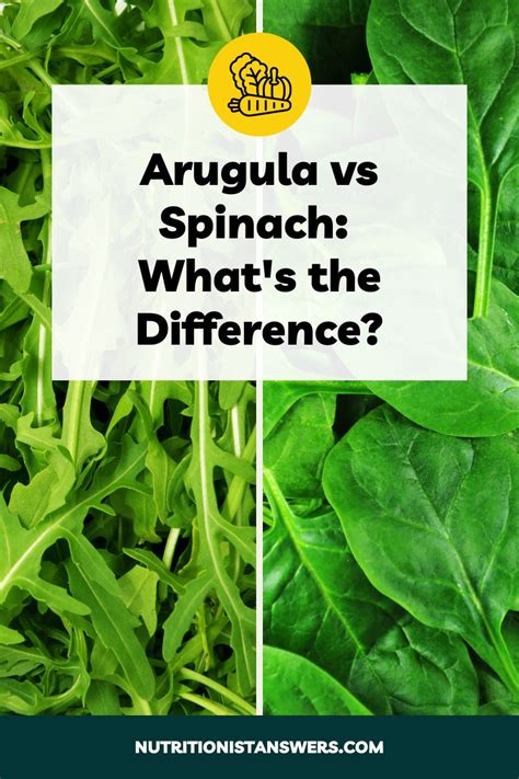 Arugula vs Spinach: What’s the Difference? | Nutritionist Answers