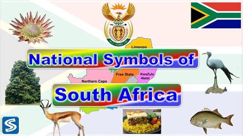 National symbols of South Africa || South Africa and its National ...