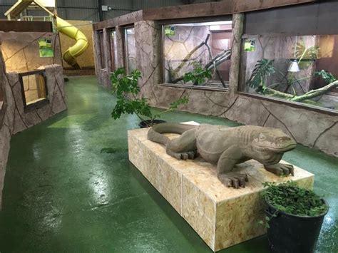 The National Reptile Zoo in Kilkenny is asking for support to help feed the animals - Kilkenny ...