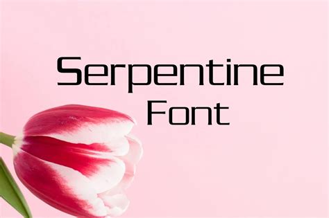 Serpentine Font Free Download