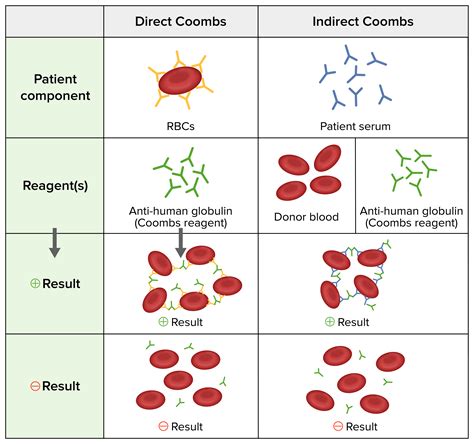 Anemia Hemolítica Autoimune | Concise Medical Knowledge