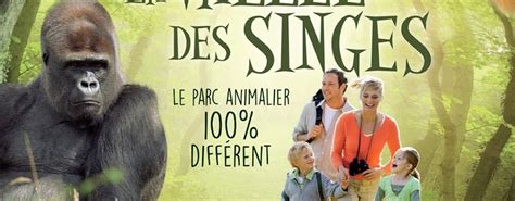 La Vallee Des Singes | musement