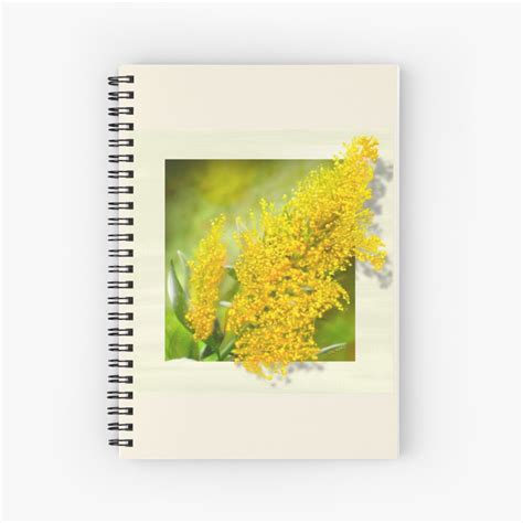 Goldenrod Flower by DesertG | Redbubble | Goldenrod flower, Flowers ...