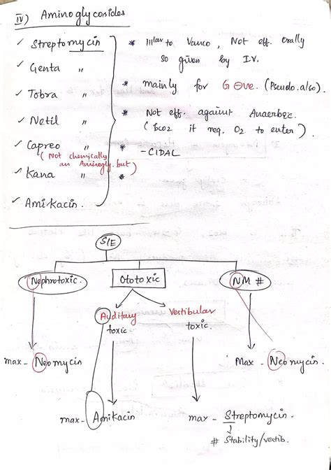 Protein Synthesis and the Therapeutic Uses of Tetracycline Derivatives - Edubirdie