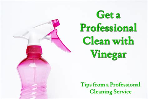 How to Clean with Vinegar | Tips from a Professional Cleaning Service