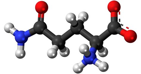 Clasificación y funciones de los aminoácidos - Biología