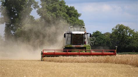 Harvest 2016: Early barley yields 0.5t/ha down on five-year average ...