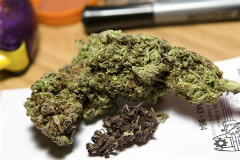 Grandaddy Purp with a little novelty purp. : r/drugsarebeautiful