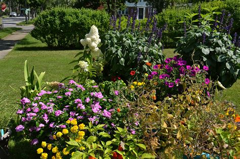 4 tips on using containers to create a gorgeous garden - Buffalo-NiagaraGardening.com