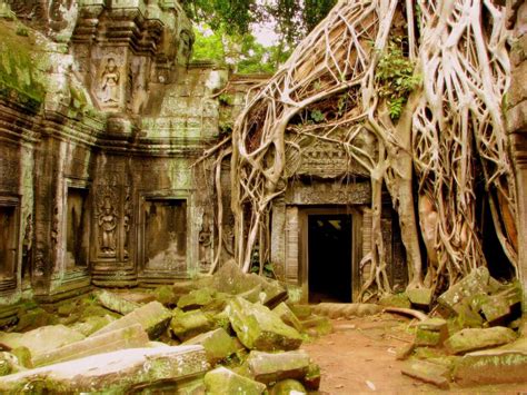 The Kingdom of Cambodia: Ta Prohm Temple (Khmer: ប្រាសាទតាព្រហ្ម)