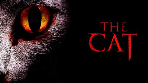 Watch The Cat (2011) Full Movie Free Online - Plex