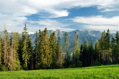 Aerial View of Tatra Mountains Taken from the Gubalowka Mountain Range ...