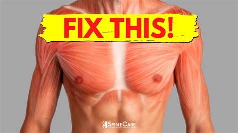 How to Fix Chest Muscle Tightness in 30 SECONDS - YouTube