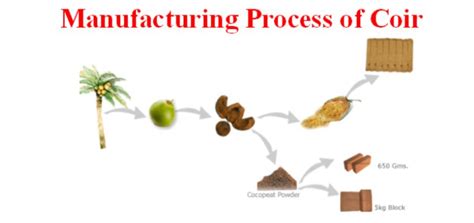 Manufacturing Process of Coir Cocopeat obtained from the fibre of the ...