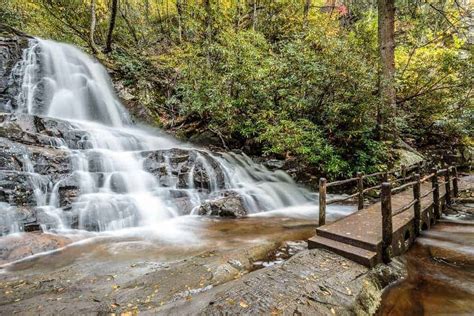 The Great Smoky Mountains National Park Hiking Challenge: 100 Miles in 2016 - Visit My Smokies