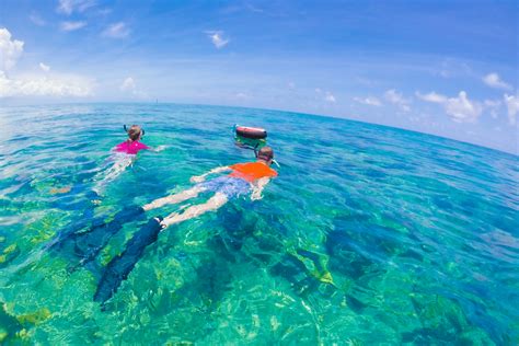 Key West Snorkeling Spots: Destination Guide