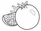 Fruit Coloring Pages  For Kids And Adults sketch template