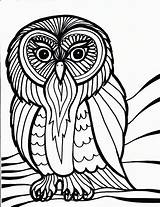 Free Printable Owl Coloring Pages For Kids sketch template