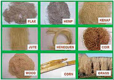 Types Of Natural Fibers