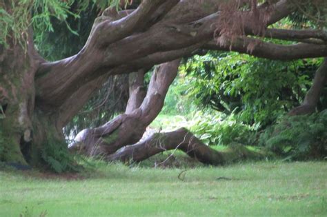 On the grounds of Clan Donald Castle, Isle of Skye Isle Of Skye, Wales England, Clan, Scotland ...