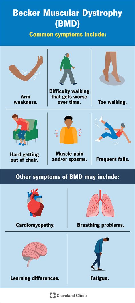 Becker Muscular Dystrophy (BMD): Symptoms & Treatment