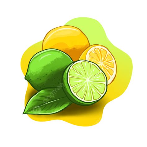 Lemon Lime PNG Transparent, Fresh Lemon Lime Yellow Green Color Psd Png Transparent, Lemon Png ...