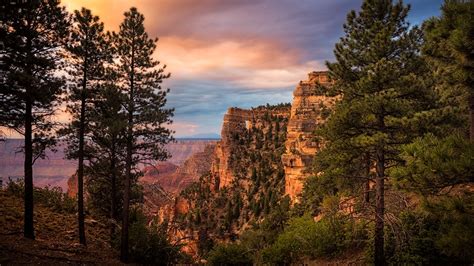 Cape Royal Road | Arizona Highways